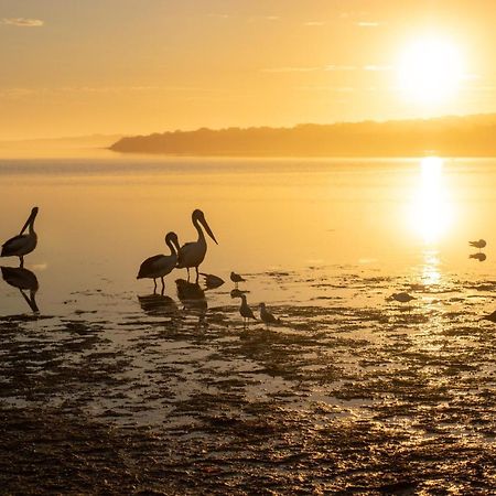 Отель Venus Bay Beachfront Tourist Park South Australia Экстерьер фото